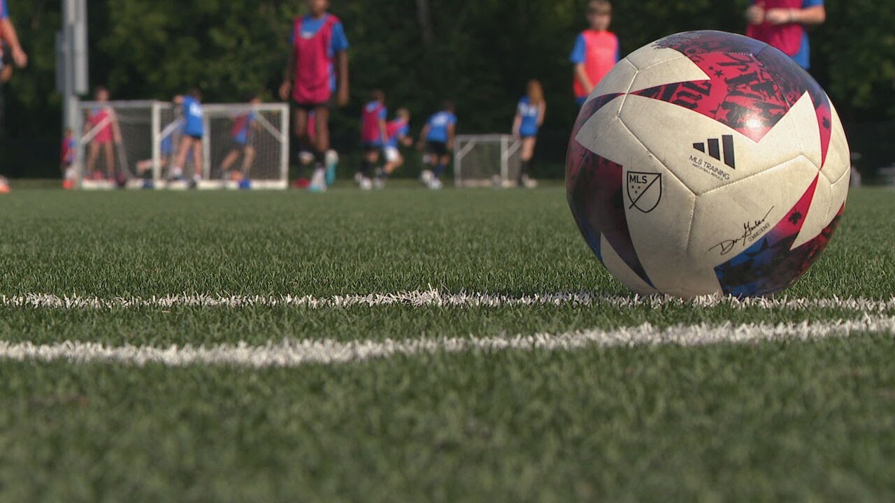 ufc-streams-watch-every-fight-live-online-without-missing-a-moment